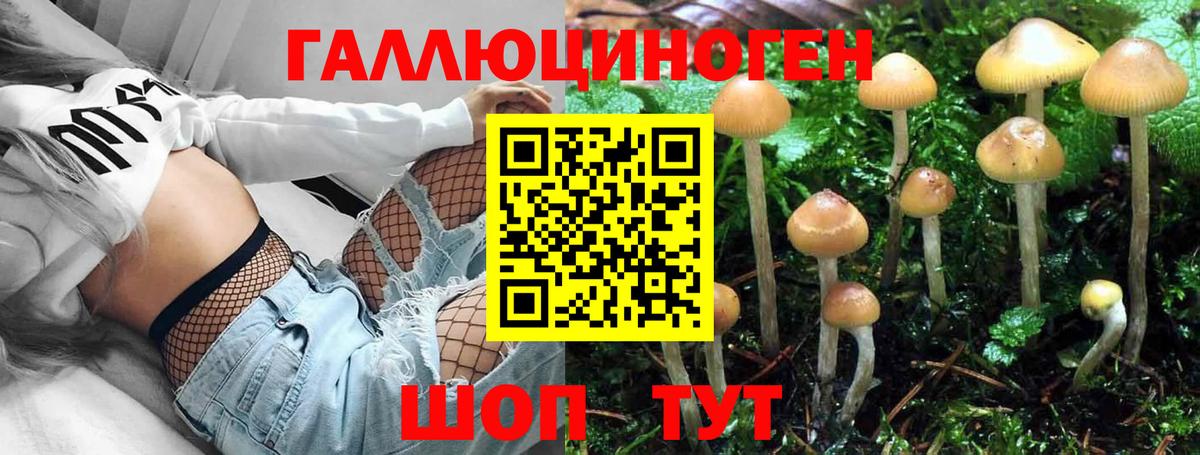 Сергиев Посад  Галлюциногенные грибы прущие грибы  Вход с VPN  Псилоцибиновые грибы MAGIC MUSHROOMS 